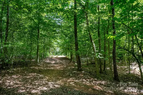 Christopher Road, Denver, NC 28037 photo 4