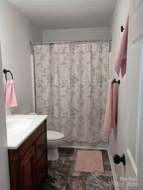 Bath - 113 Doree Ln, Crouse, NC 28033 photo 4 of 8