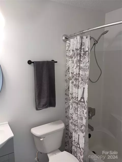 Bath - 113 Doree Ln, Crouse, NC 28033 photo 6 of 8