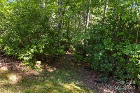 Other - 718 Thunder Rd, Brevard, NC 28712 photo 16 of 19