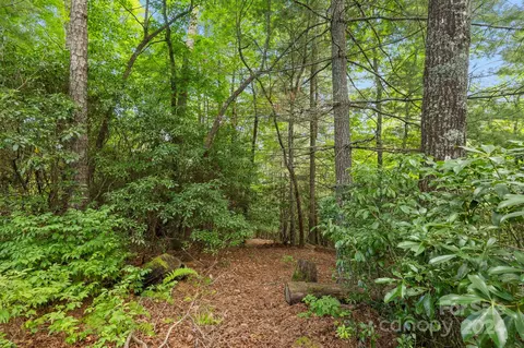 Other - 718 Thunder Rd, Brevard, NC 28712 photo 17 of 19