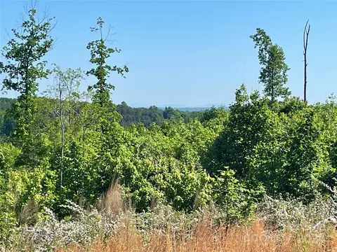 Tatertown Loop, Nebo, NC 28761 photo 7