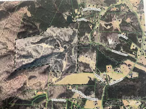 Tatertown Loop, Nebo, NC 28761