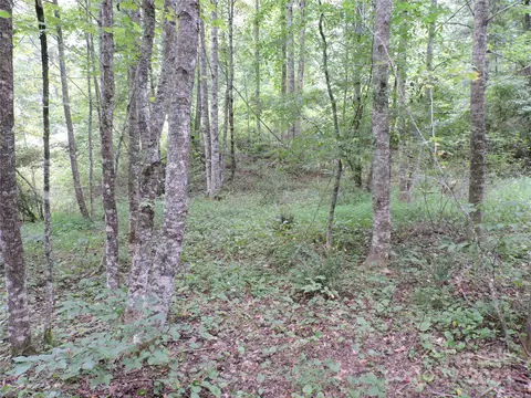 00 Ridge Rd, Spruce Pine, NC 28777 photo 12