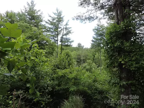 00 Ridge Rd, Spruce Pine, NC 28777 photo 17