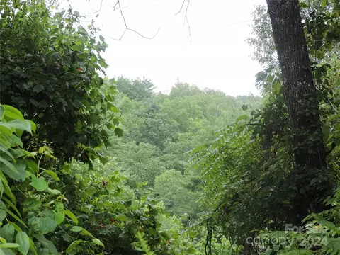 00 Ridge Rd, Spruce Pine, NC 28777 photo 27