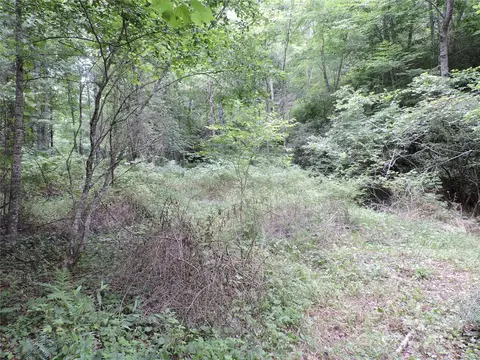 00 Ridge Rd, Spruce Pine, NC 28777 photo 9
