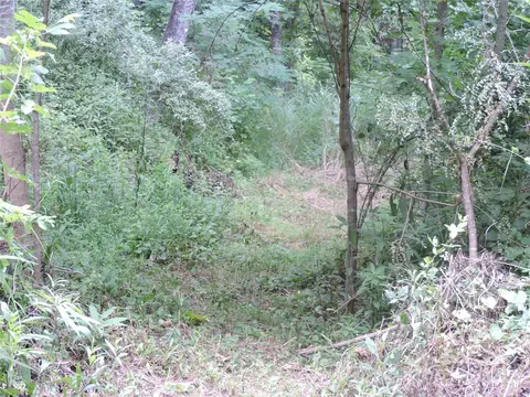 00 Ridge Rd, Spruce Pine, NC 28777 photo 10