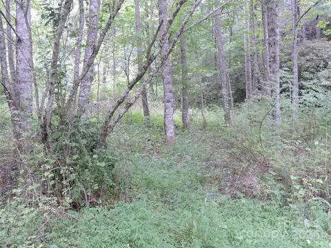 00 Ridge Rd, Spruce Pine, NC 28777 photo 11