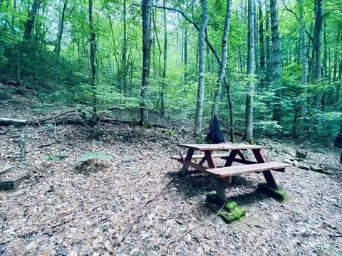 0 River Rd, Franklin, NC 28734