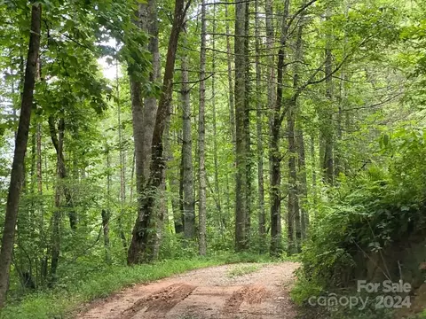 0 River Rd, Franklin, NC 28734 photo 8