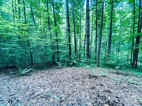0 River Rd, Franklin, NC 28734 photo 4