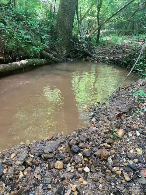 Creekside Circle, Rutherfordton, NC 28139