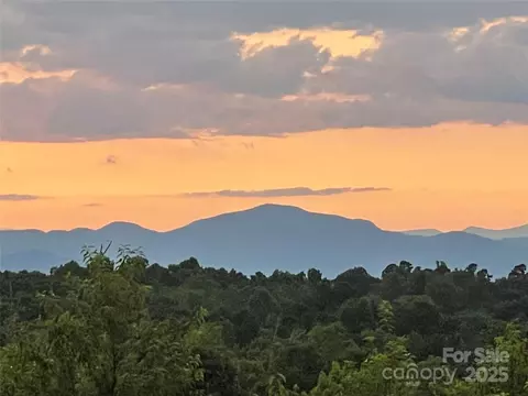 9999 Moore 3 Rd #3, Tryon, NC 28782 photo 6