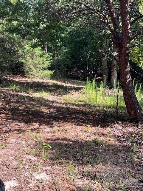9999 Moore 3 Rd #3, Tryon, NC 28782 photo 16