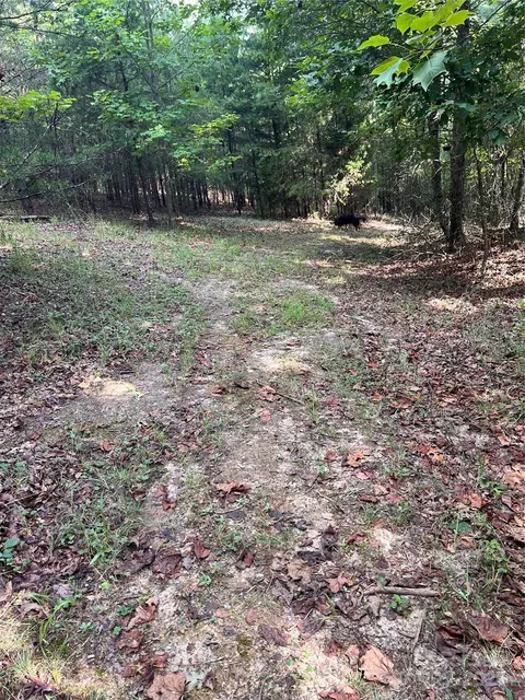 9999 Moore 3 Rd #3, Tryon, NC 28782 photo 15