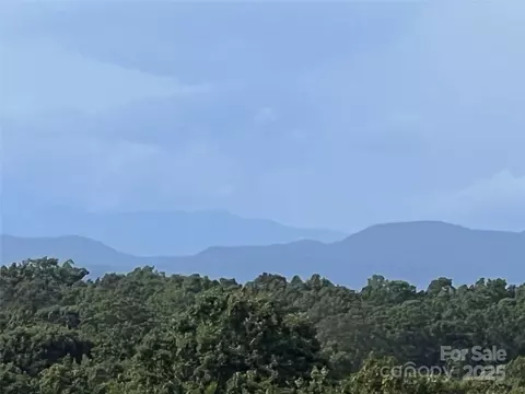 9999 Moore 3 Rd #3, Tryon, NC 28782 photo 3
