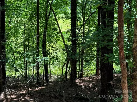 0 Edgerton Rd, Mill Spring, NC 28756 photo 3