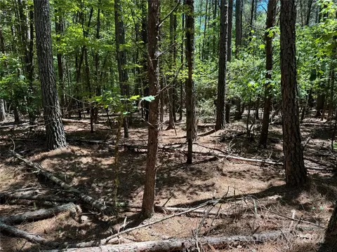 0 Edgerton Rd, Mill Spring, NC 28756 photo 2