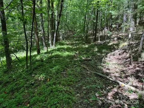 0 Edgerton Rd, Mill Spring, NC 28756 photo 6