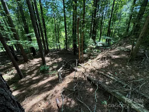 0 Edgerton Rd, Mill Spring, NC 28756 photo 5