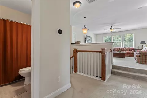 6059 Daphne Cir, Fort Mill, SC 29708 photo 28