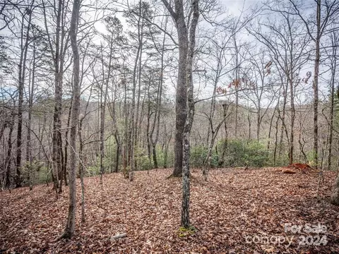 163 Pheasant 163 St #163, Lake Lure, NC 28746