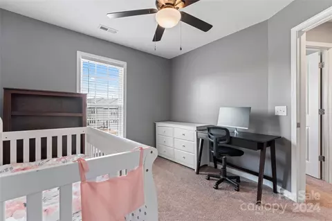 Other - 473 Hunters Dance Rd, Fort Mill, SC 29708 photo 12 of 18