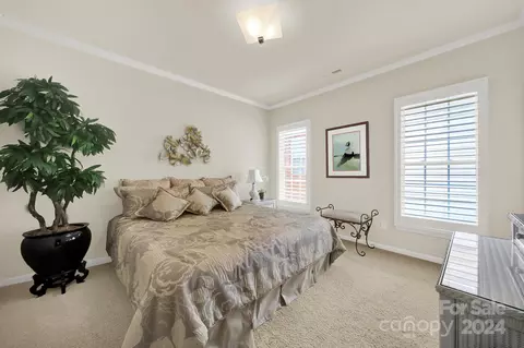49062 Gladiolus St, Fort Mill, SC 29707 photo 16