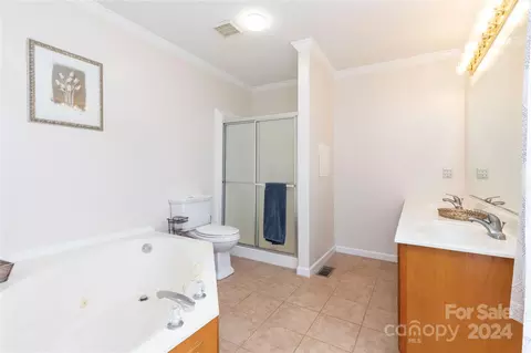 Bath - 360 Beaverdam Loop Rd, Candler, NC 28715 photo 1 of 2