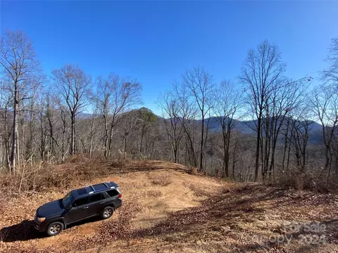 Mountain Magnolia Drive, Leicester, NC 28748