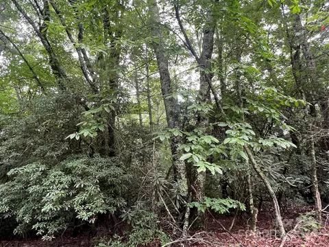 000 Wipprecht Dr, Spruce Pine, NC 28777