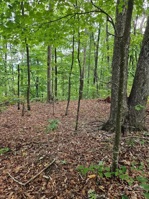 0 Deer Jump 347 Trl #347, Lake Lure, NC 28746