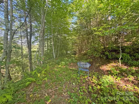 98 Fireside Trl, Marshall, NC 28753 photo 6