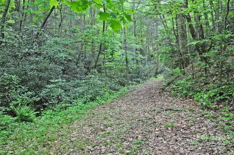 98 Fireside Trl, Marshall, NC 28753 photo 22