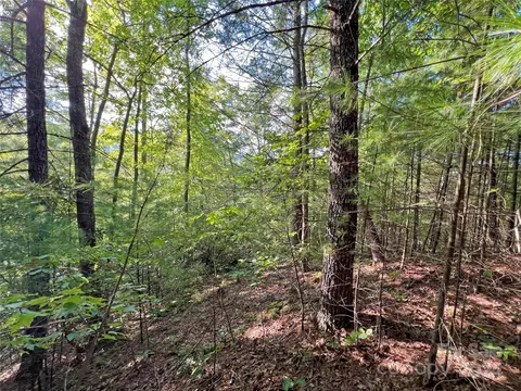 98 Fireside Trl, Marshall, NC 28753 photo 15