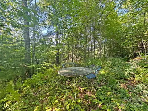 98 Fireside Trl, Marshall, NC 28753 photo 4