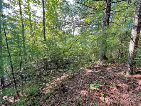 98 Fireside Trl, Marshall, NC 28753 photo 18