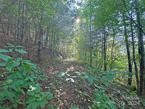 98 Fireside Trl, Marshall, NC 28753 photo 5