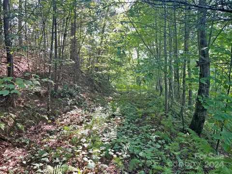 98 Fireside Trl, Marshall, NC 28753 photo 14