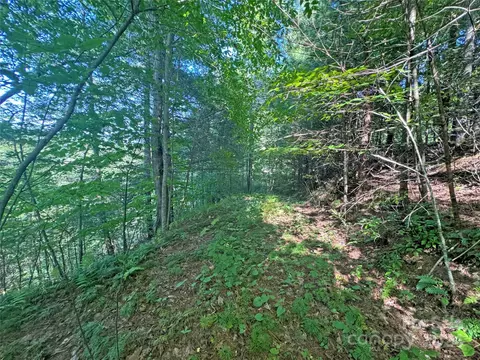98 Fireside Trl, Marshall, NC 28753 photo 3