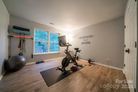 4265 Silver Eagle Ct, Denver, NC 28037 photo 20