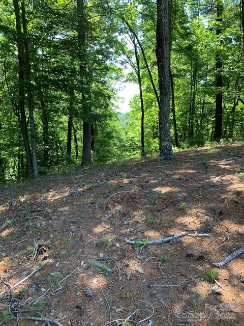 Meadow Crossing Lane, Mcgrady, NC 28649