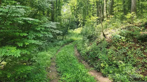 0000 Drifter Ln, Sylva, NC 28779 photo 15