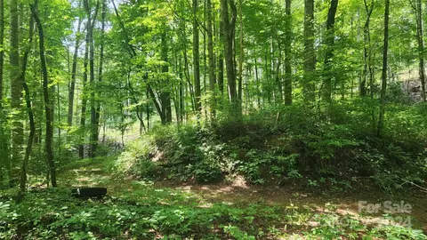 0000 Drifter Ln, Sylva, NC 28779 photo 12
