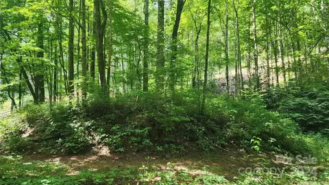 0000 Drifter Ln, Sylva, NC 28779 photo 13