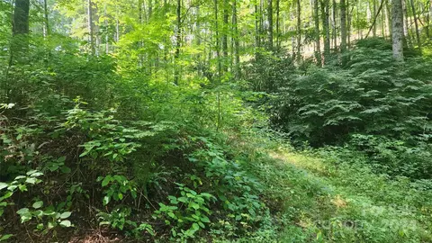 0000 Drifter Ln, Sylva, NC 28779 photo 14