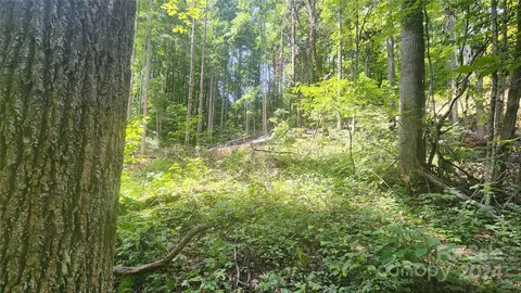0000 Drifter Ln, Sylva, NC 28779 photo 8