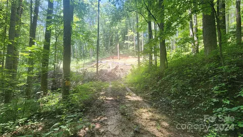 0000 Drifter Ln, Sylva, NC 28779 photo 10