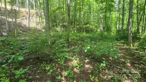 0000 Drifter Ln, Sylva, NC 28779 photo 9